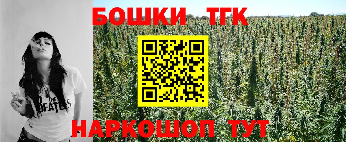 Бошки Шишки VHQ Аргун